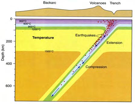 b. May be separated from the accretionary wedge by an ophiolite complex the upturned old ocean-continent junction. 4. Arc Volcanics and associated intermediate plutonic rocks; a.