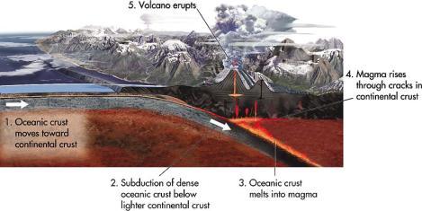 Descending oceanic plate melts to make magma Makes volcanoes on the overlying continental plate.