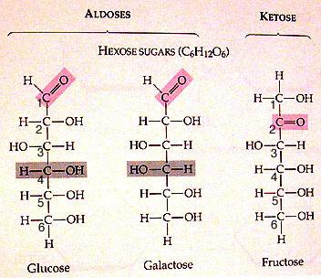 Biomolecules Biomolecules are made up of repeating subunits called monomers. When these monomers are attached together in a chain they are referred to as polymers.