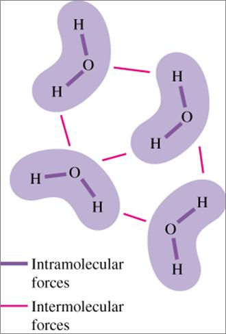Recall: Intramolecular bonding within a molecule holds atoms together as molecules