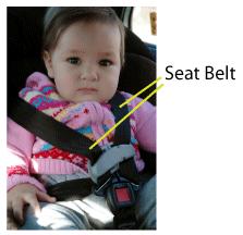 Seat Belt Prevent the driver and passengers from being flung forward or thrown out of the car during an emergency break.