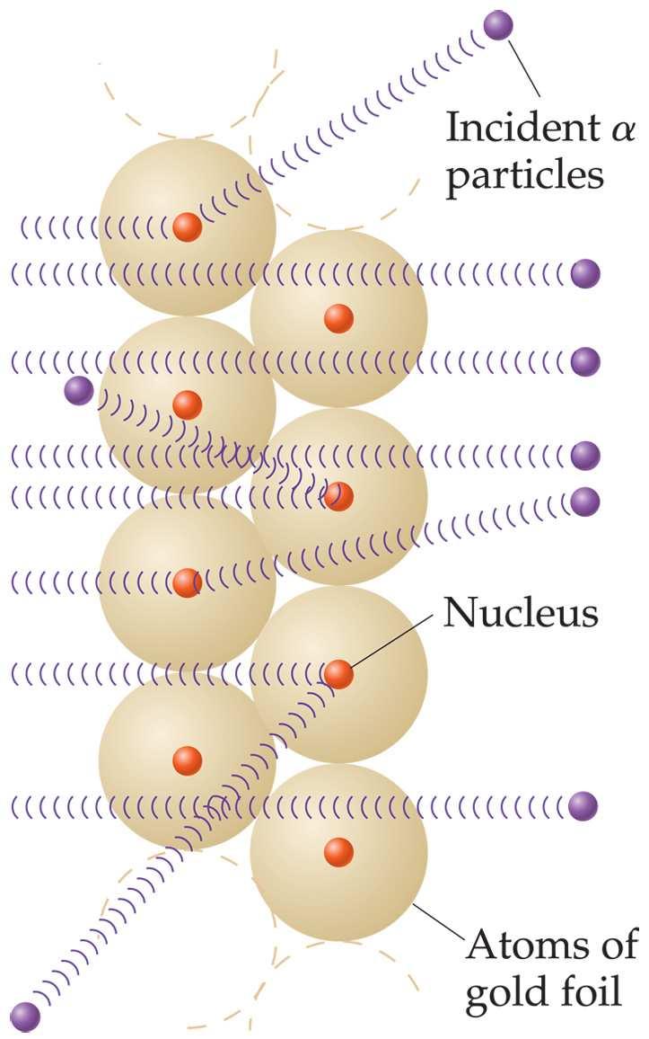 Ernest Rutherford Discovered the Atomic Nucleus Since most particles went through: -