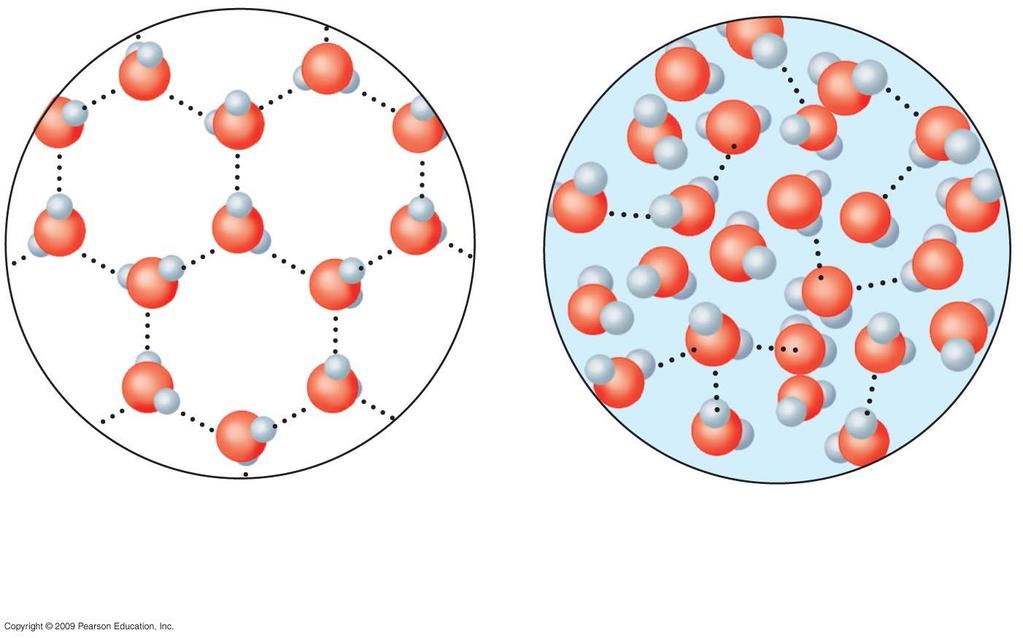 Hydrogen bond Ice Hydrogen bonds are stable