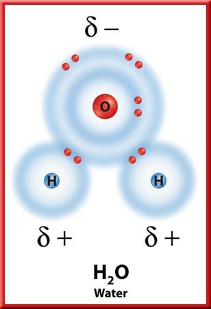 Polar Covalent Molecule Charge is neutral, but not
