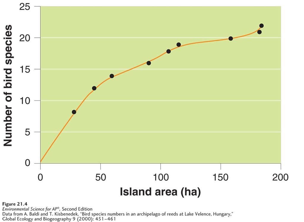 The Theory of Island Biogeography Species richness increases as the size of the habitat increases.