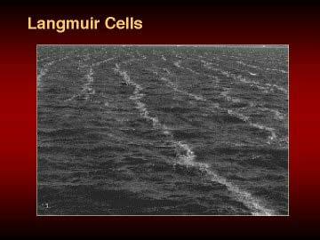 Physical Fronts Langmuir Cells caused by winds Upwelling Downwelling River Fronts