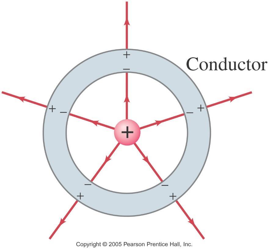 16.9 Electric Fields and Conductors The static electric field inside a conductor is zero