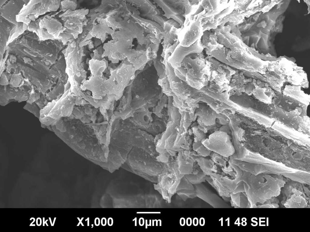 In this study the effect of aliuminium sulphate treated and modified by calcinations process the surface morphology of loaded and unloaded samples of MTC were obtained adsorbent