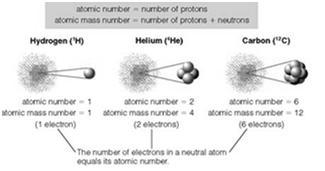 What distinguishes one element from another is the number of protons in the nucleus The atoms themselves come in different forms called isotopes What