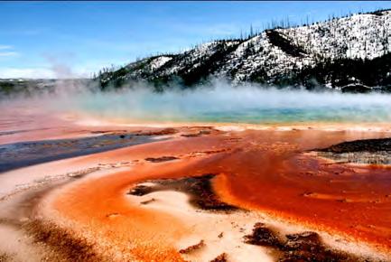 Initially, archaea were seen as extremophiles that lived in harsh