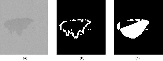 Funkcija Fill Holes konvertuje sve piksele iz stanja 0 (crno) u stanje 1 (belo) ukoliko se nalaze unutar zatvorene konture čime se određuje oblast u slici kartona koja odgovara defektu. Slika 1.2.