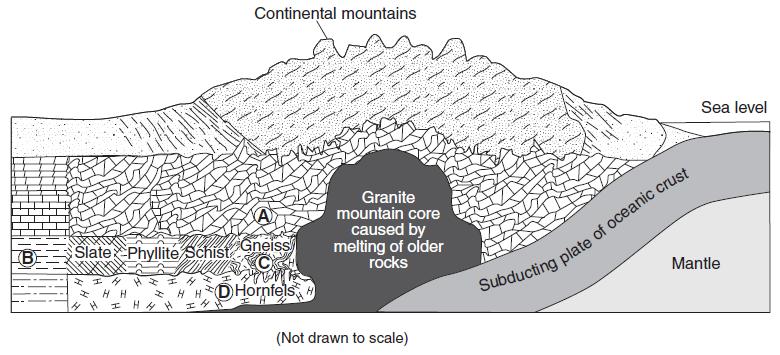 20. Base your answer to the following question on the cross section below, which shows the bedrock structure of a portion of the lithosphere.