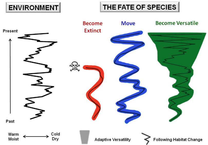Environments can be more or less stable, and this affects evolutionary rate