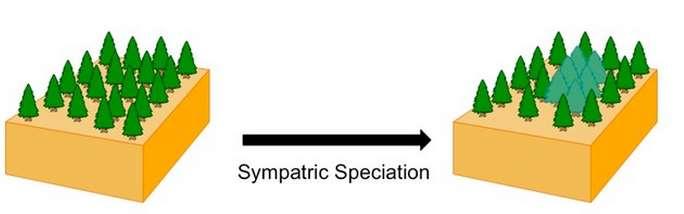 Sympatric Speciation (same place) Sub populations