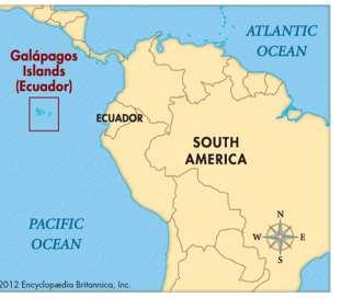 Example- Finches Galapagos Islands Which type of speciation took place first?