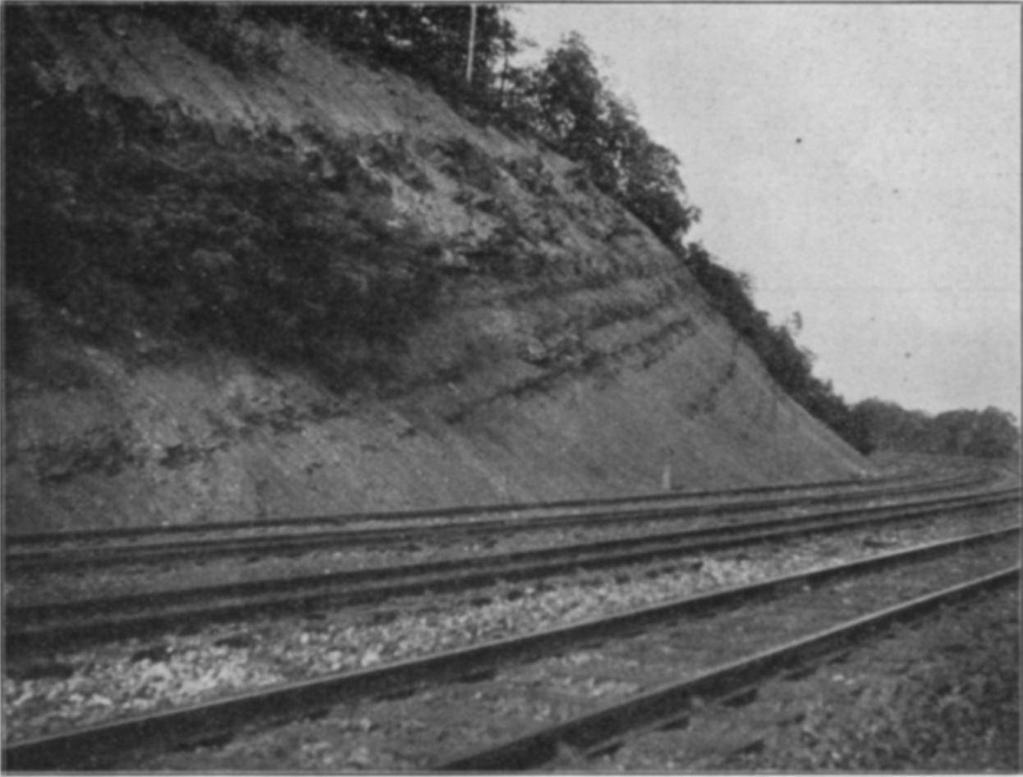 THE DEVONIAN SECTION NEAR ALTOONA, PA. 629 shows the character of the Chemung rocks about 3 miles west of Altoona, and also the fault mentioned on p 624.