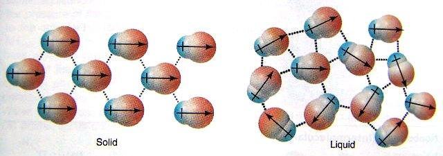 Dipole-Dipole Force From the orientation of polar molecules in an electric field, when polar molecules lie near one another, as in liquid and solid, their partial