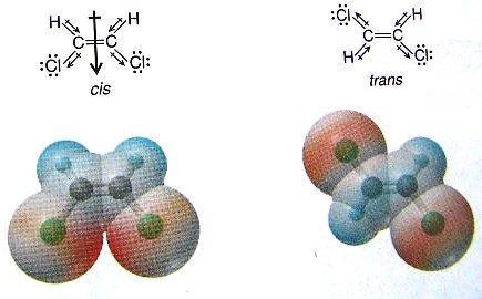 The forces give polar cis-1,2-dichloroethylene a