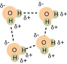 molecules H-X bond creates a VERY polar bond,
