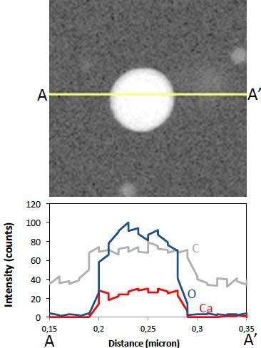 Supplementary Figure 6. STEM line profile analysis of ACO nanoparticles. TEM annular dark field images of the edge of an ACO nanoparticle displaying a ca.