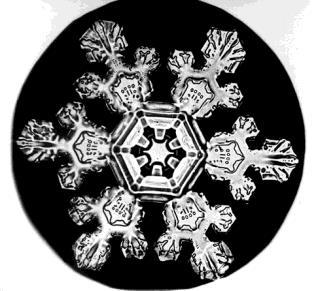 edu/~atomic/snowcrystals/ice/ice.