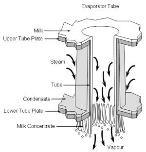 Types of evaporators