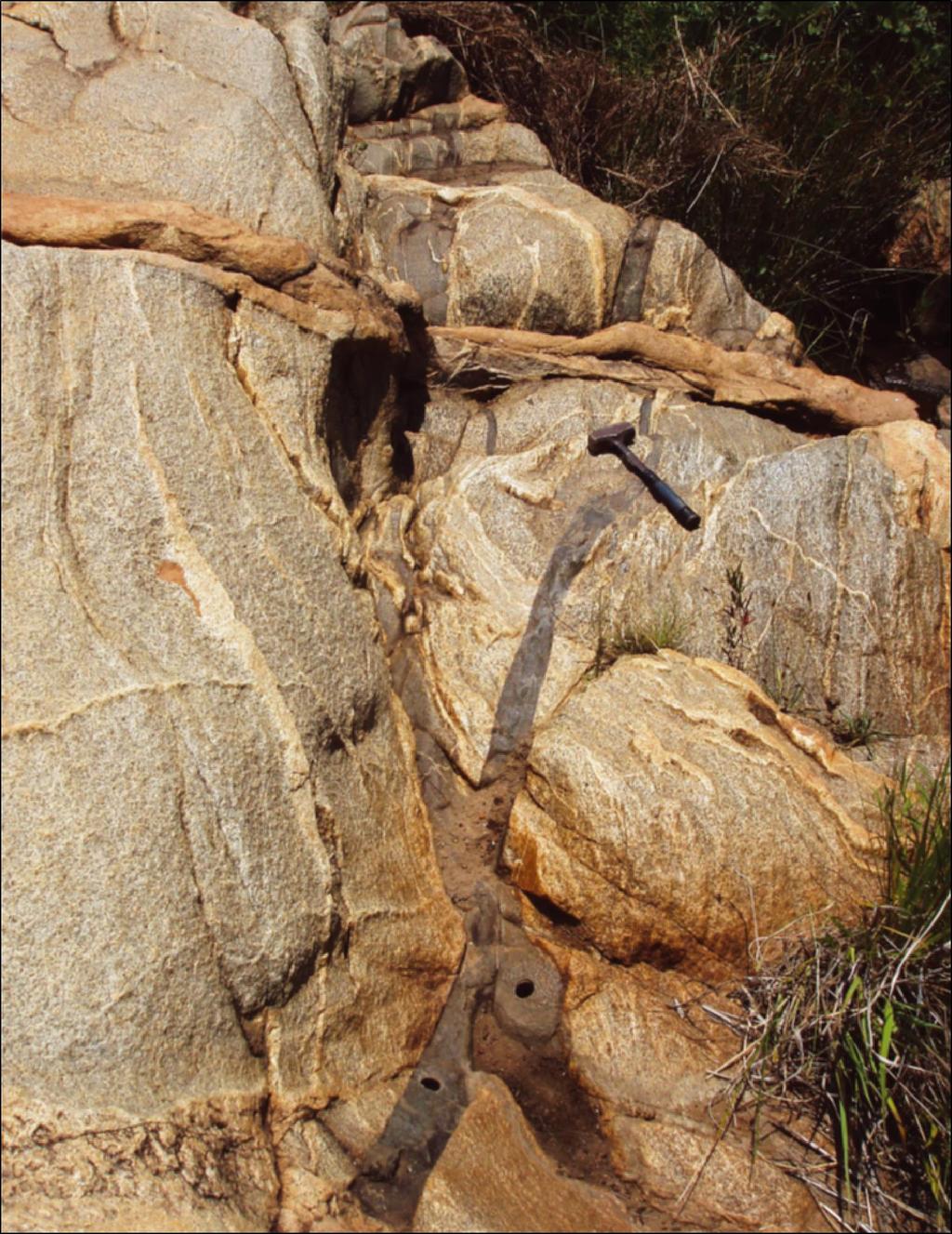 Figure 8: Field photograph in Anhaeusser (2011). Nooitgedacht migmatite platform displaying and summarising stages of development of the Archaean crust in the northern half of the Johannesburg Dome.