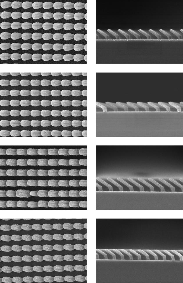 Uniform Si nanostructures grown by oblique angle deposition with substrate swing rotation (a) φ=30 (a) φ=30 (b) φ=60 (b) φ=60 (c) φ=90 (c) φ=90 y y x x (d) φ=120 Figure 4.