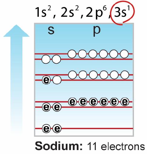 Alkali metals Electron configuration