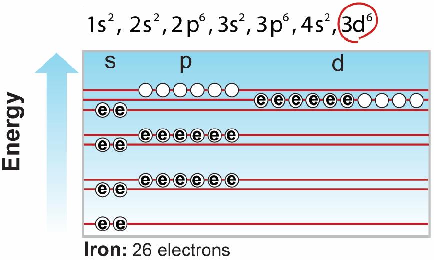 Transition metals Electron