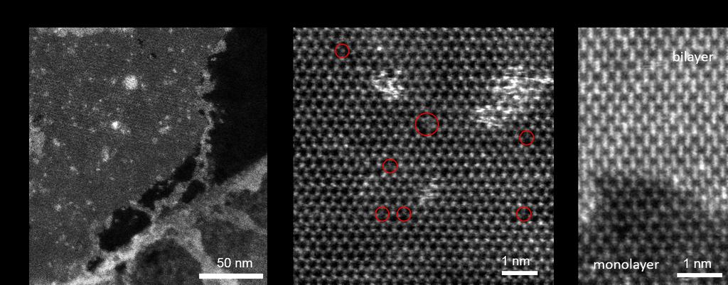 Supplementary Figure 11. ADF-STEM images of monolayer NbSe2 grown directly on graphene. (a) Low magnified ADF-STEM image showing a large region of monolayer NbSe2.