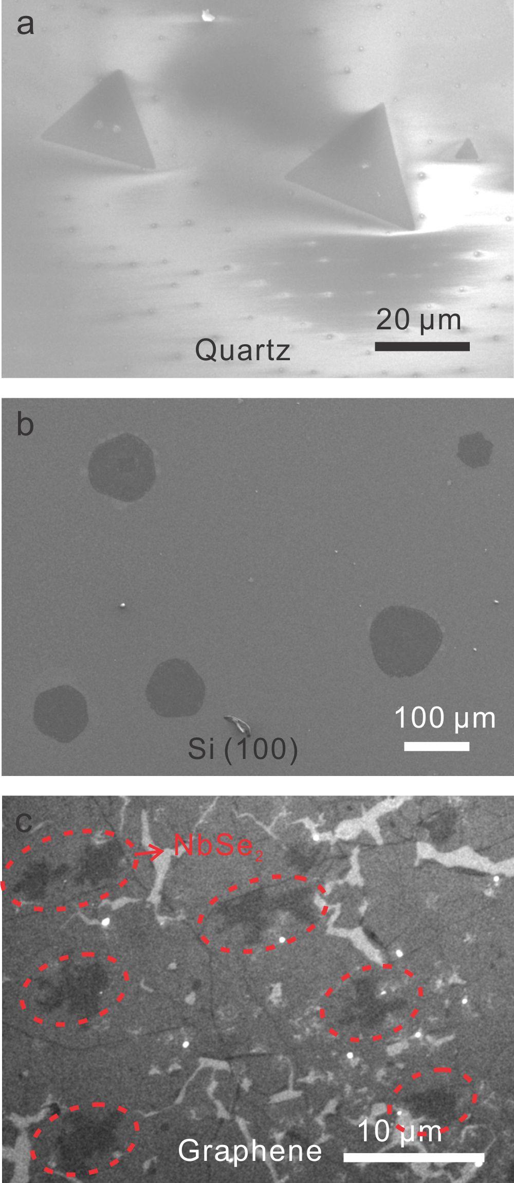 Supplementary Figure 3. SEM morphology of ultrathin NbSe2 layers grown on diverse substrates (a) quartz, (b) Si(100) (c) CVD graphene transferred to SiO2/Si.