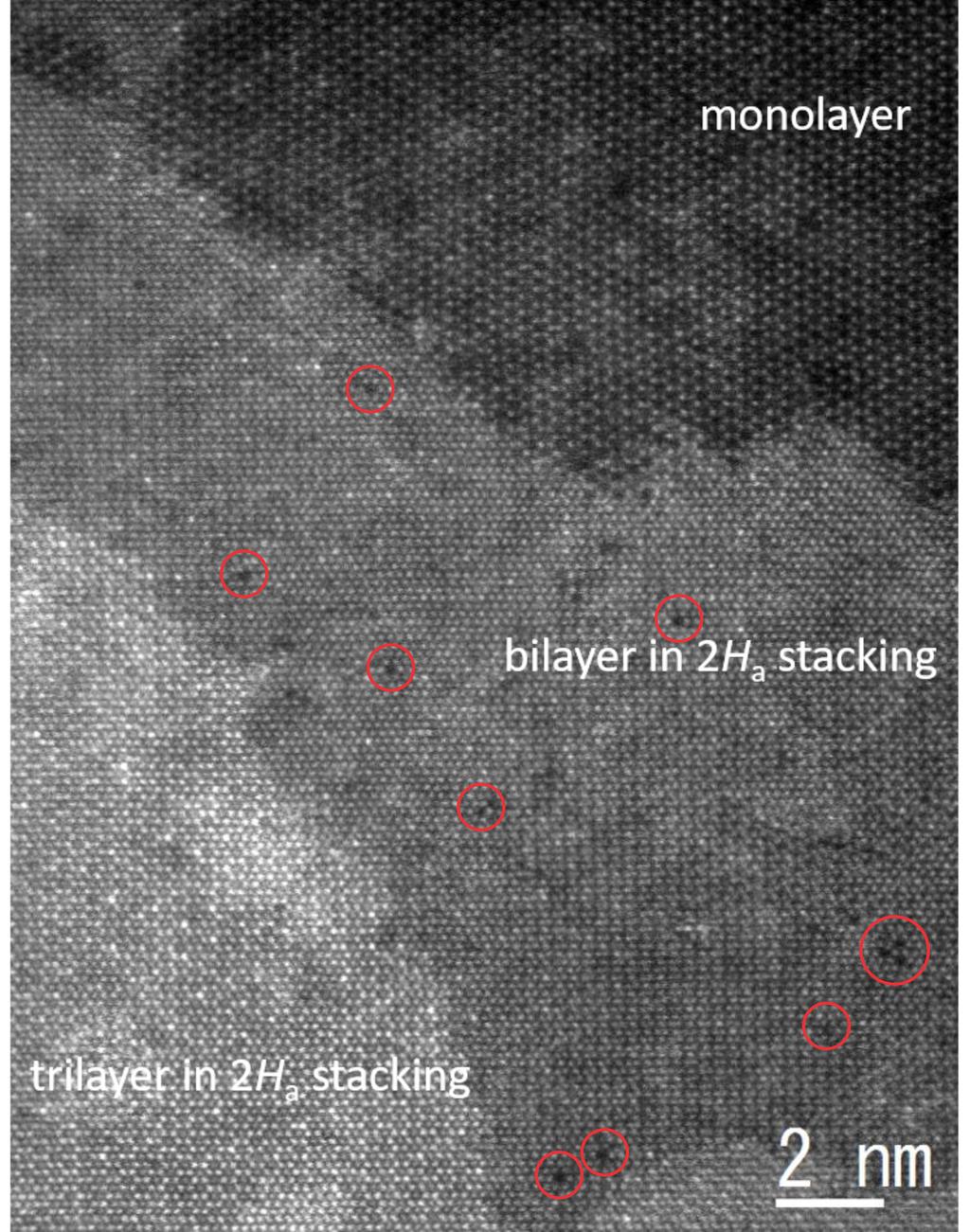 Supplementary Figure 10. ADF-STEM image of the multiple layer region of NbSe2.
