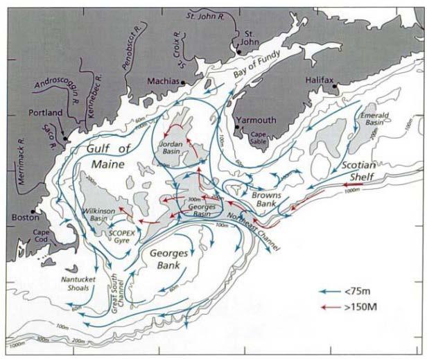Oceanography Miller et al 1998 The Great South Channel (GSC) is an undersea channel between shallower Nantucket