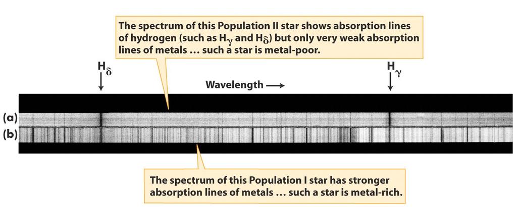 Populations (generations) of stars Relatively young Population I stars are metal rich; ancient Population II stars are metal poor The metals (heavy elements) in Population