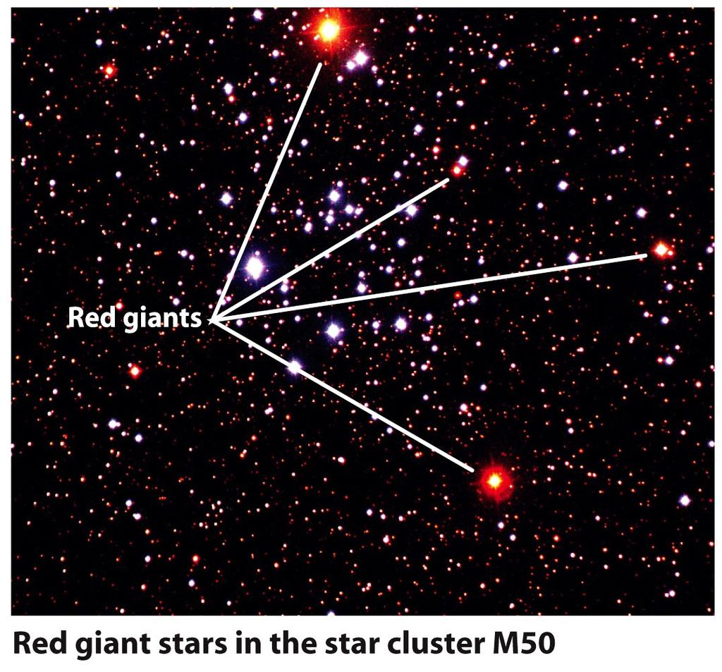 Red Giants Core hydrogen fusion ceases when the hydrogen has been exhausted in the core of a main-sequence star This leaves a core of nearly pure helium surrounded by a shell