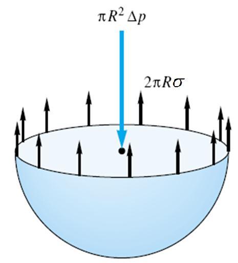 liquid in a small-diameter tube.