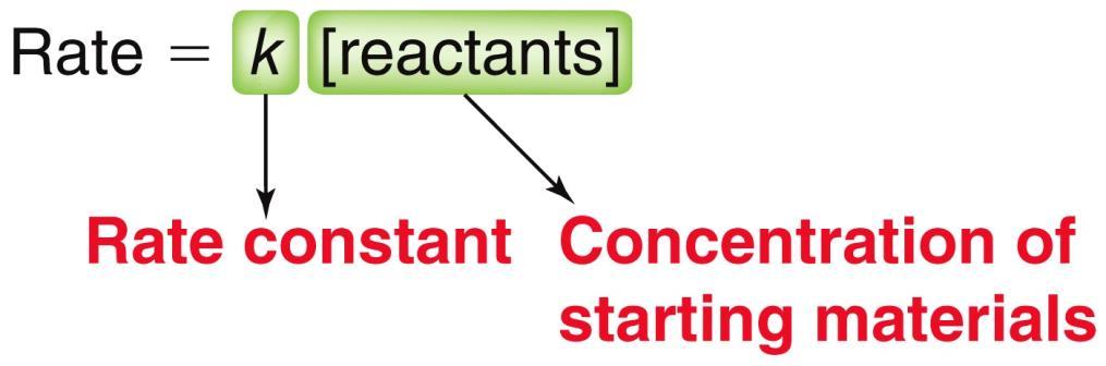 6.5 Rate Law Equations To quantify how much the reactant concentration affects the rate of reaction, the Rate Law equation is used The degree