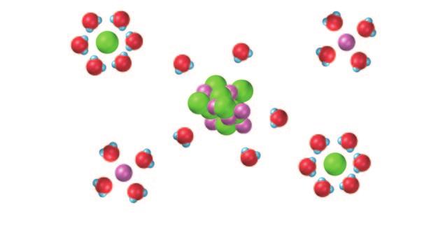 Figure 2.5 Hydration When LiCl dissolves, the ions are hydrated. The attraction between ions and water molecules is strong enough that each ion in solution is surrounded by water molecules.