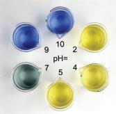 Summary Acid Base Indicators p = -log [ 3 O + (aq)] po = -log [O - (aq)] [ 3 O + (aq)] =10 p [O - (aq)] =10 po Common name Color of In(aq) p range of colour change Color of In - (aq) Bromothymol blue