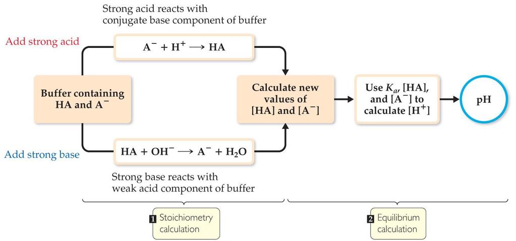 Addition of a Strong Acid or a Strong Base to a Buffer 1) Adding of the strong acid or base is a neutralization reaction; calculate like