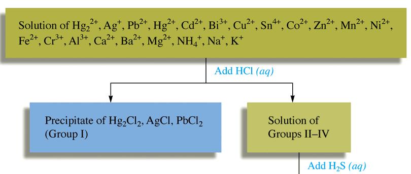 Equilibri Involving Complex Ions Complex Ions nd Solubility How cn we seprte these? AgCl(s) Ag + (q) + Cl - (q) K sp = 1.6 x 1-1 Ag + + NH Ag(NH ) + K 1 =.