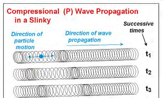 Seismic Slinky P