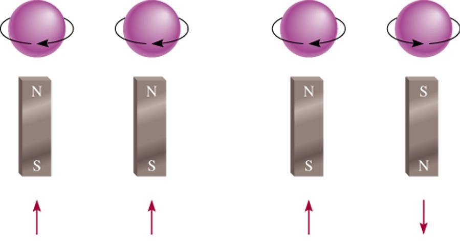 Paramagnetic unpaired electrons