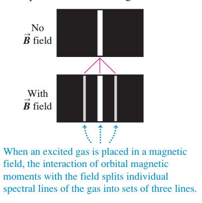 Atoms for physics Zeeman eect Zeeman eect is the splitting of spectral lines into three when the emitting gas is placed in a magnetic eld Interaction energy Bohr
