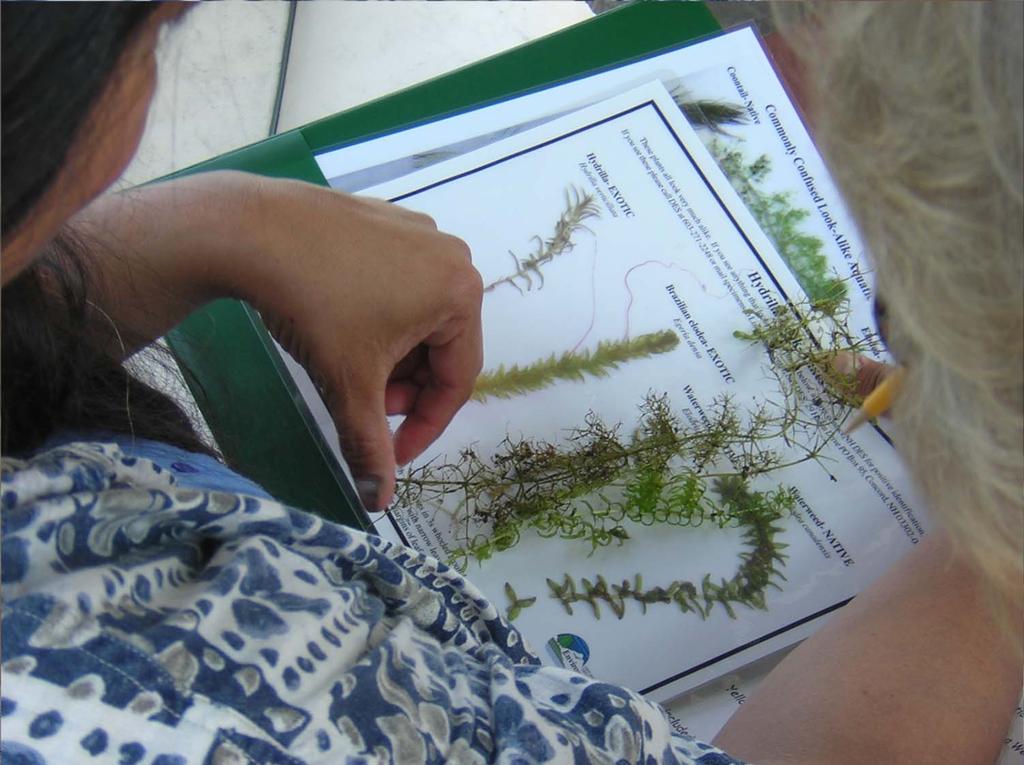 Volunteers learn how to identify plants