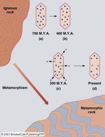 Dating Metamorphism a. A mineral has just crystallized from magma. b. As time passes, parent atoms decay to daughters. c. Metamorphism drives the daughters out of the mineral (to other parts of the rock) as it recrystallizes.