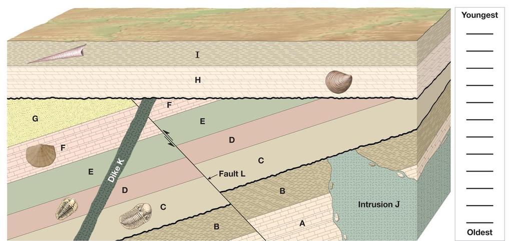 Q6. Identify the types of unconformities in Figure 9.11 A, B. A: B: Use Figure 9.12 to answer Q7-12. Q7.Identify and label all unconformities in Figure 9.12. Q8.