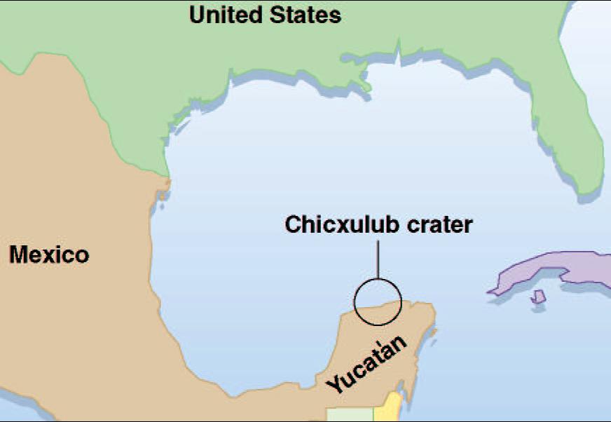Recent discovery: The Chicxulub impact crater, 180 km across,