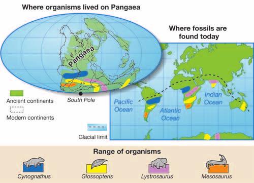 The colors on the map show regions where various animals and plants lived. What would the climate have been like in the regions close to the South Pole?